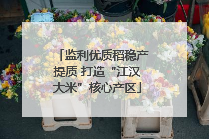 监利优质稻稳产提质 打造“江汉大米”核心产区